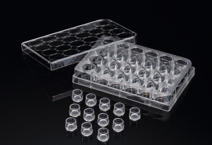 站立式细胞培养小室